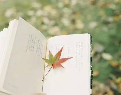 讀書，也是一種旅行——企業管理視角下的閱讀智慧